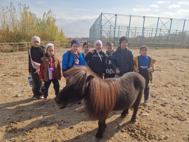 «Chamberlane» ат клубында